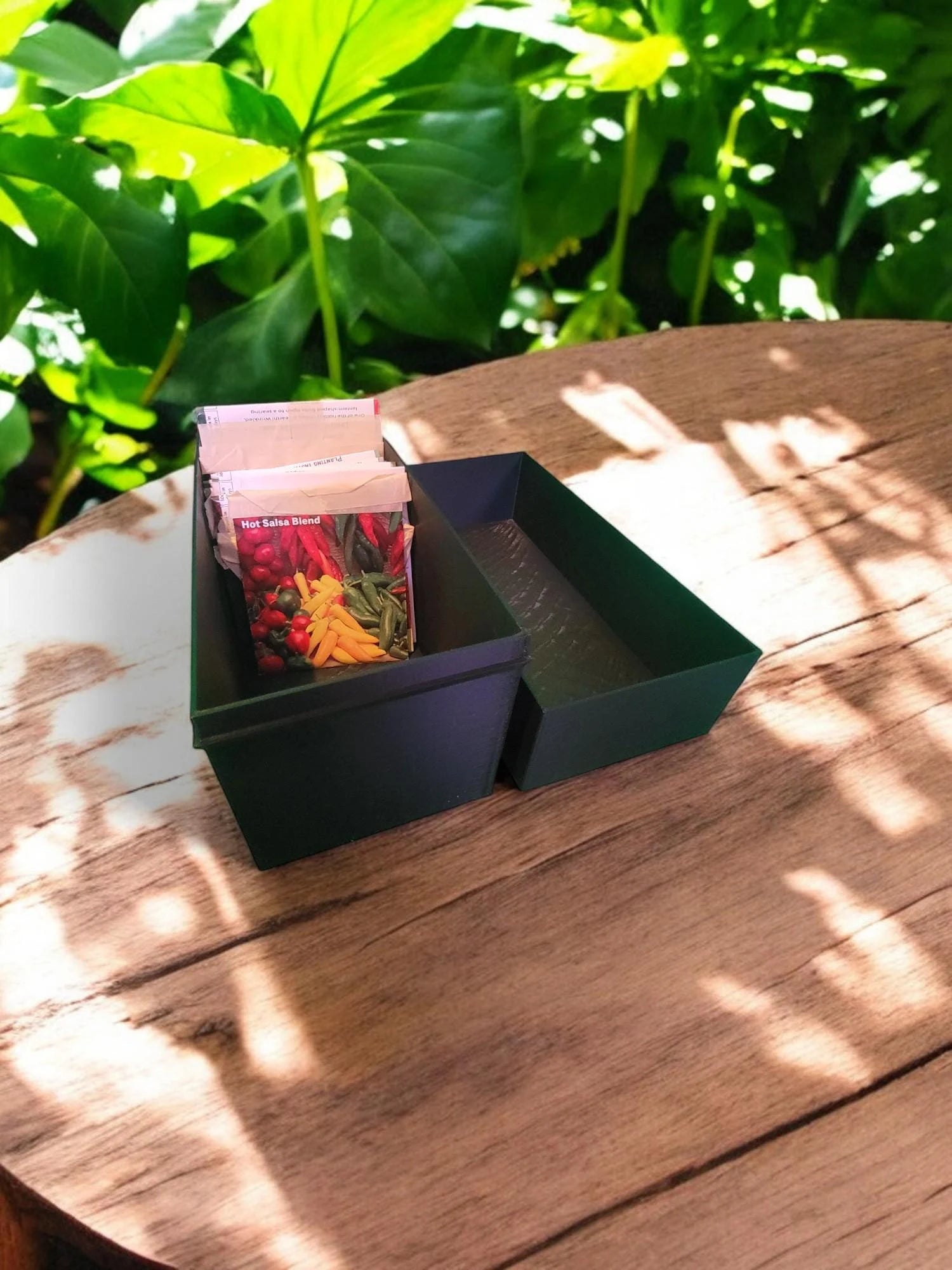 Jumbo Seed Box for Gardening, Seed Storage Organizer, Large Garden Storage Box, Seed Storage Solution, Gardening Storage Container Organizer