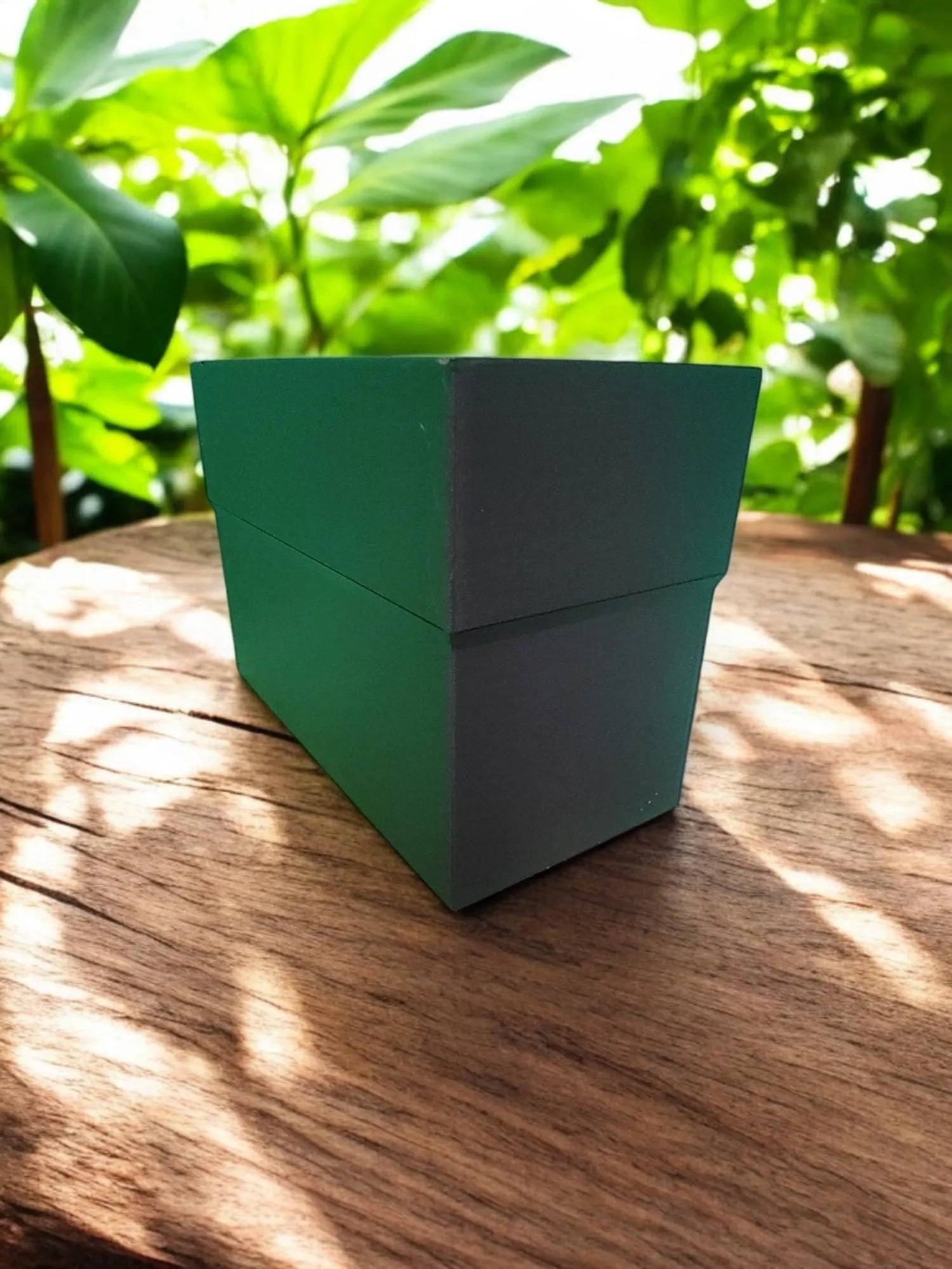 Jumbo Seed Box for Gardening, Seed Storage Organizer, Large Garden Storage Box, Seed Storage Solution, Gardening Storage Container Organizer