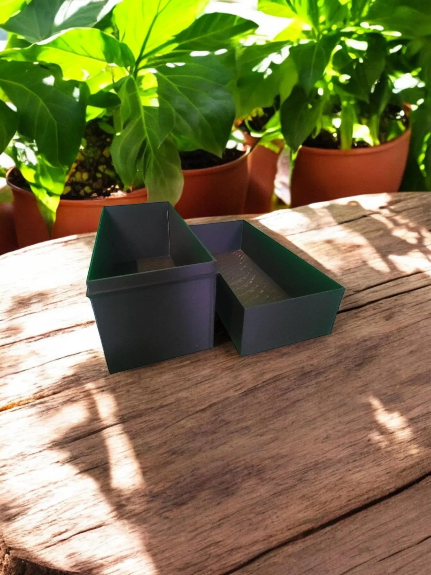 Jumbo Seed Box for Gardening, Seed Storage Organizer, Large Garden Storage Box, Seed Storage Solution, Gardening Storage Container Organizer