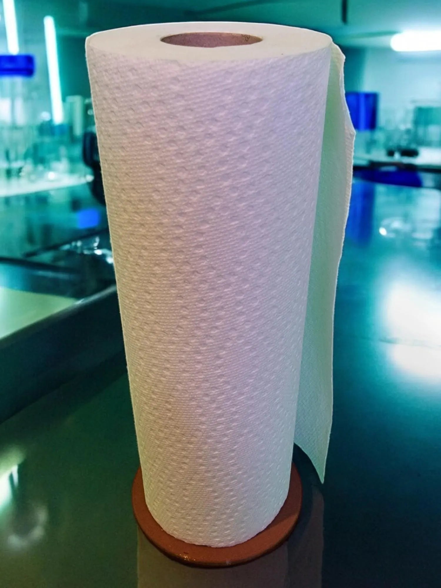 Paper Towel Holder - Functional Art for Your Kitchen!
